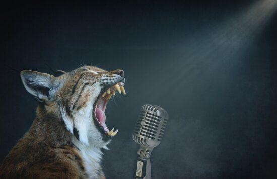 Un chat miaulant dans un microphone