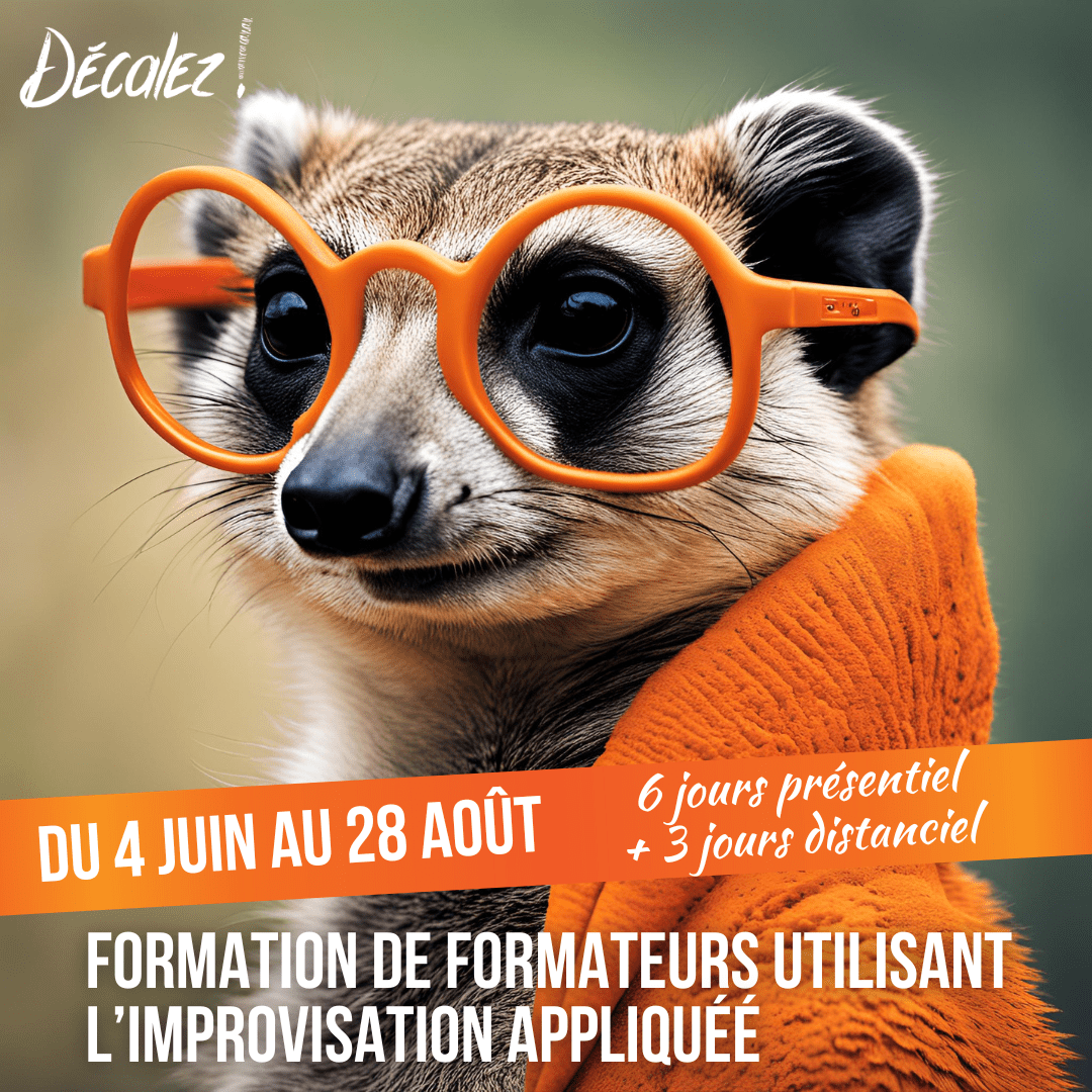 Cursus du 4 juin au 28 août 2025